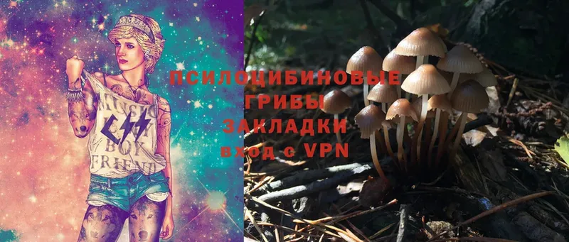 Галлюциногенные грибы Magic Shrooms  Дивногорск 